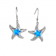 SS Starfish  Earrings