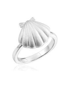 SS Shell Ring