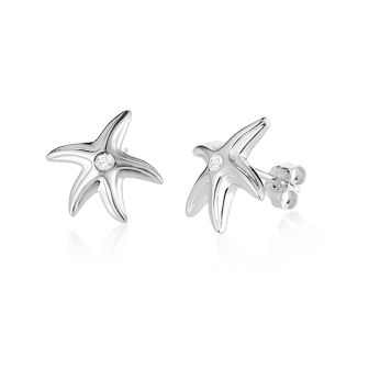 SS Starfish Earrings