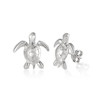 SS Turtle Earrings