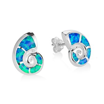 SS Nautilus Shell Earrings