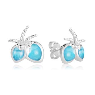 SS Coconut Earrings