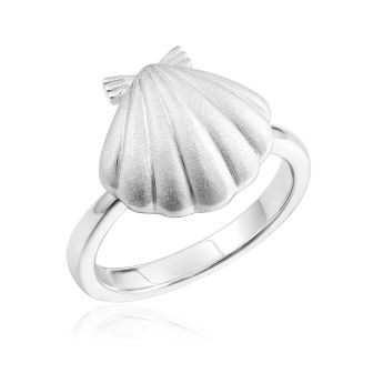 SS Shell Ring